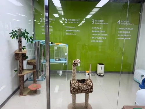 松山湖智能寵物用品暢銷全球，單品銷售額突破千萬元